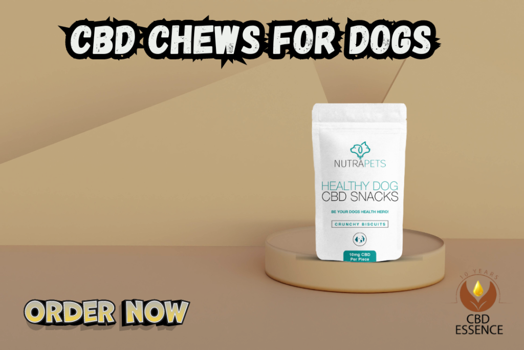 CBD Essence Calm CBD Bites: Best CBD Chews for Dogs