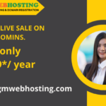 Best Web Hosting in India: Affordable Options for 2024