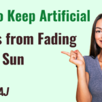 How to Keep Artificial Plants from Fading in the Sun