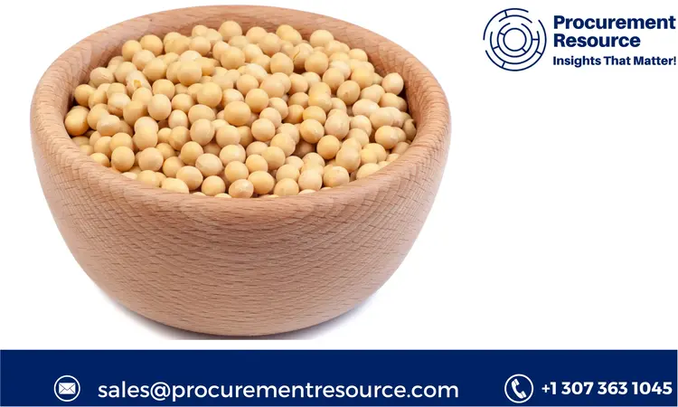 Detailed Report on the Lecithin Production Process with Cost Analysis