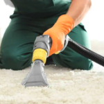 Say Hello to Freshness: Carpet Cleaning Solutions in Fairfield