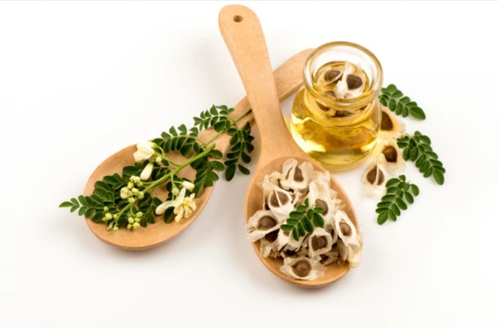 Top 12 Health Benefits of Organic Moringa Oil