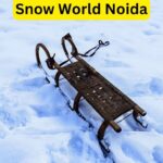 Exploring Snow World Noida: A Winter Wonderland Experience