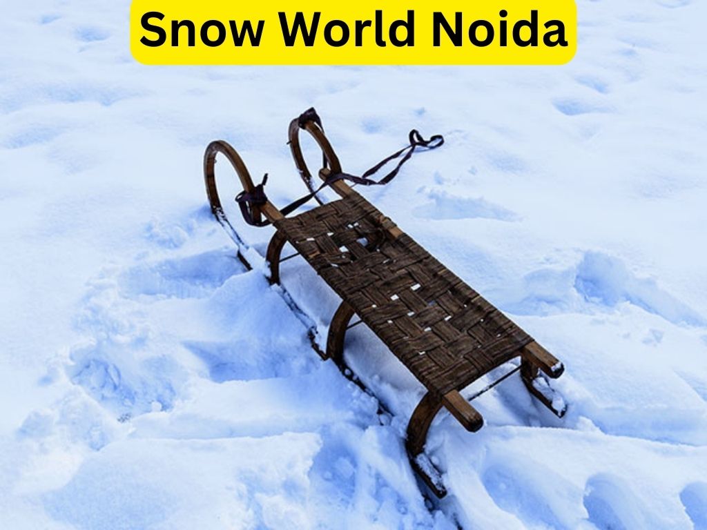 Exploring Snow World Noida: A Winter Wonderland Experience