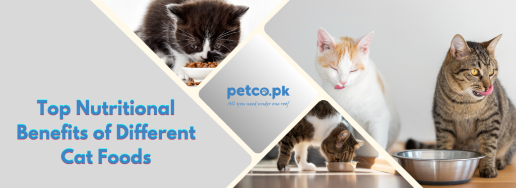 Top Nutritional Benefits of Different Cat Foods