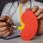 Kidney Specialist in Dubai: Recommendations for Maintaining Kidney Health
