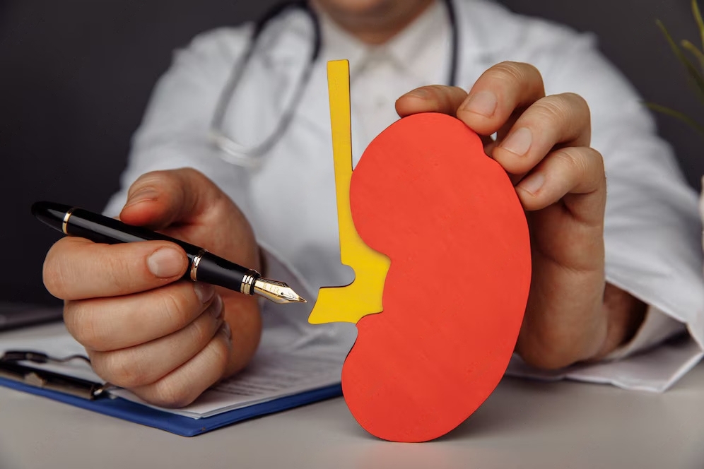 Kidney Specialist in Dubai: Recommendations for Maintaining Kidney Health