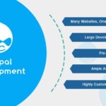 Unlocking Digital Potential: Why Your Business Needs a Drupal Development Agency