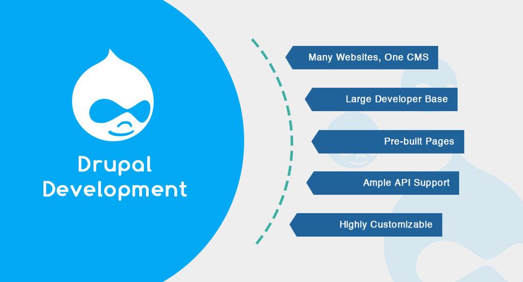 Unlocking Digital Potential: Why Your Business Needs a Drupal Development Agency