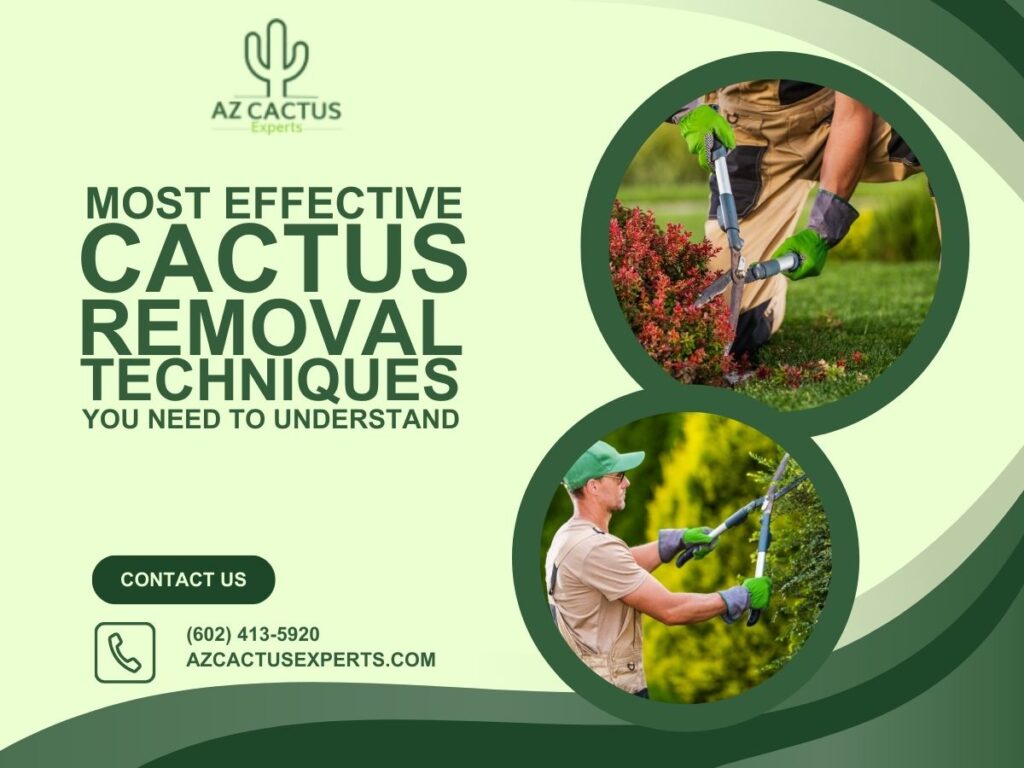 Most Effective Cactus Removal Techniques You Need to Understand | AZ Cactus Experts