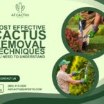 Most Effective Cactus Removal Techniques You Need to Understand | AZ Cactus Experts