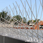 Protecting Your Investment: The Importance of Bird Spikes in Dubai