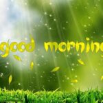 20 Inspirational Good Morning Messages to Boost Your Day