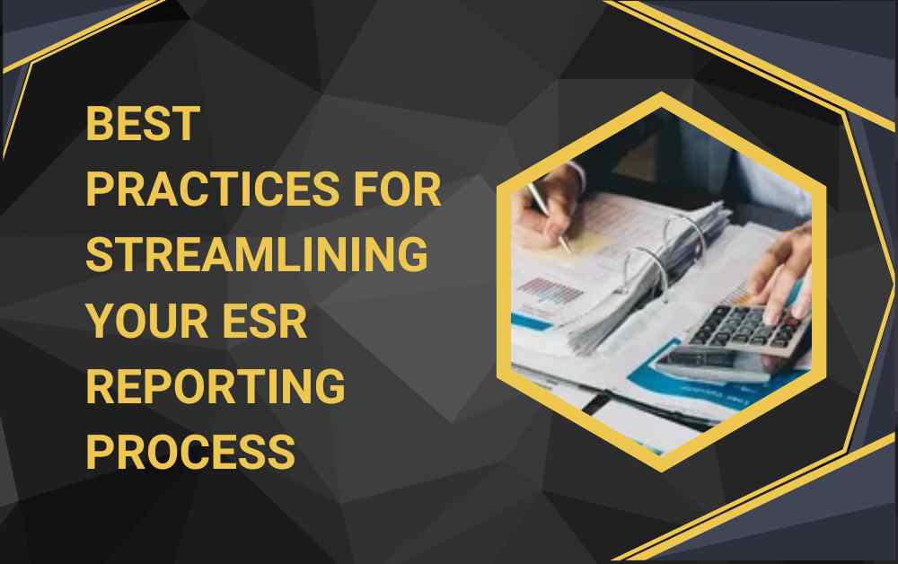 Best Practices for Streamlining Your ESR Reporting Process